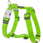 Red Dingo Classic valjaat S Lime