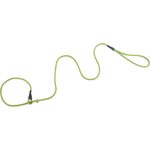 Firedog Noutajahihna 6 mm 150 cm Lime