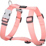 Red Dingo Classic valjaat S Pastelli oranssi