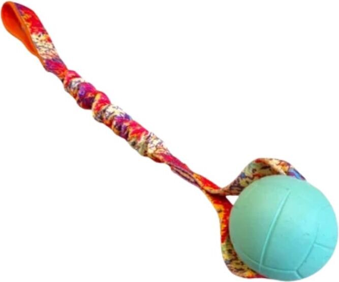 Agilitoy Soffy pehmeä kumipallo joustokahvalla 40cm Minttu