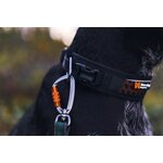 Non-stop dogwear Rock adjustable collar