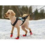 Non-stop dogwear Freemotion harness musta