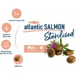 Happy Cat Sterilised Atlantic Salmon kissan kuivaruoka 10 kg