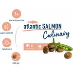 Happy Cat Culinary Atlantic Salmon 300 g