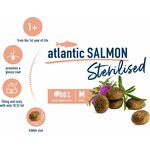 Happy Cat Sterilised Atlantic Salmon 300 g