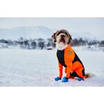 Non-stop dogwear Protector snow Male (uros)