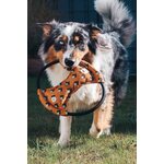 Woolly Wolf Squeky Frisbee - eri kuoseja