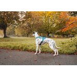 Non-stop dogwear Rush harness teal