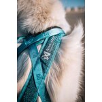 Non-stop dogwear Rush harness teal