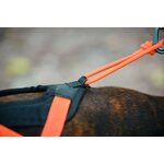 Non-stop dogwear Rush harness oranssi-musta