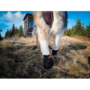 Non-stop dogwear Solid Socks 4 kpl