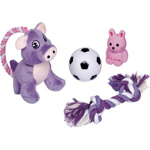 Nobby Puppy Starter set -koirapennun lelupaketti violet