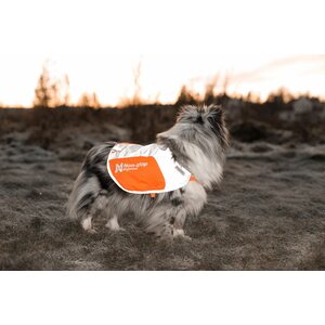 Non-stop dogwear Reflection Blanket heijastinliivi