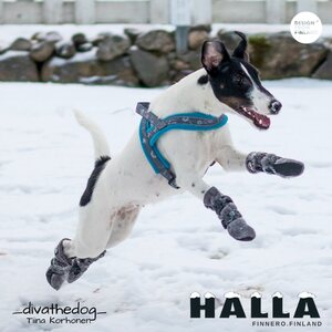 FINNERO HALLA fleecetossut 4 kpl harmaa