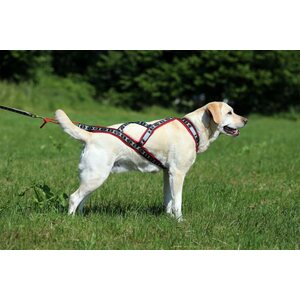 ManMat Run Long harness punainen