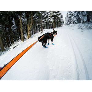 Non-stop dogwear Bungee Leash 2.0 2,8 m