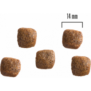 PrimaDog Viljaton Lohi & Peruna koiran kuivaruoka 10 kg