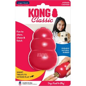 Kong Classic