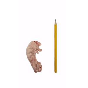 Tessu Broilerin Kaulat 900 g