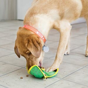 Kong Ballistic Hide'N Treat 12 cm