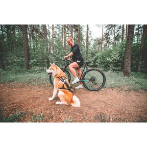 Non-stop dogwear Bike Antenna vetoadapteri