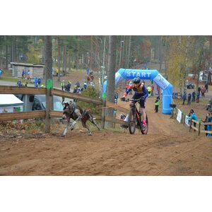 Non-stop dogwear Bike Antenna KlickFix vetoadapteri