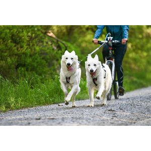 Non-stop dogwear Bike Antenna KlickFix vetoadapteri