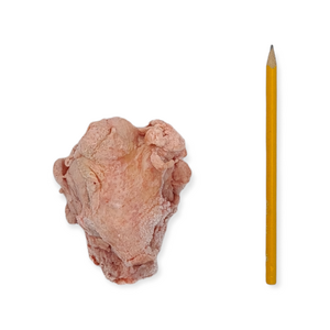 Tessu Broilerin Selkäranka 4 kg
