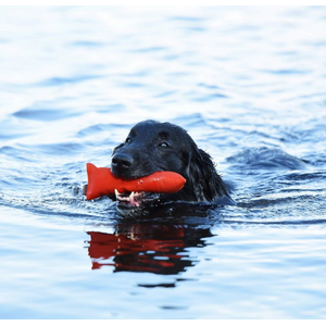 Firedog Puppy Dummy 100 g
