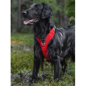 Dog Copenhagen Walk Pro valjaat punainen