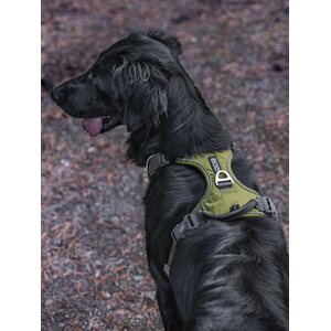 Dog Copenhagen Walk Pro valjaat vihreä