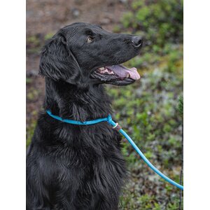 Firedog Noutajahihna 8 mm 150 cm