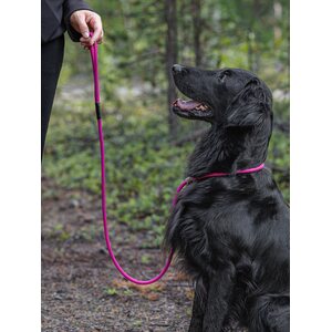 Firedog Noutajahihna 8 mm 150 cm