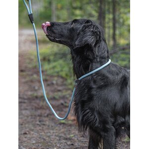 Firedog Noutajahihna 8 mm 150 cm