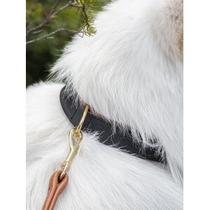 Pet First Fatty Leather Rasvanahkapanta musta-ruskea