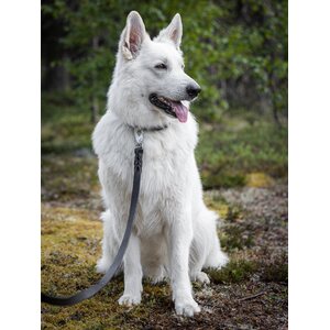 Nahka-Nasta Rasvanahkatalutin 22 mm x 1,8 m