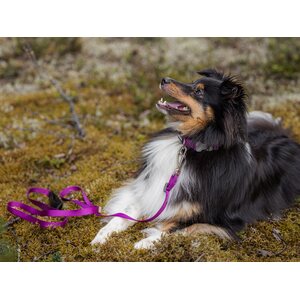 Red Dingo Classics panta violetti