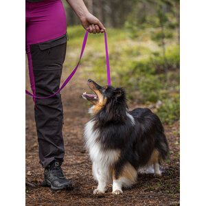 Red Dingo Classics talutushihna violetti