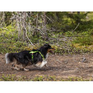 Rukka Form Neon valjaat keltainen