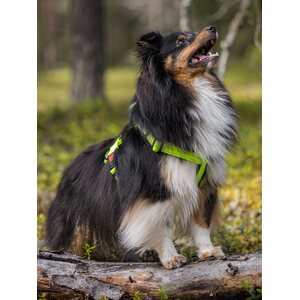 Rukka Form Neon valjaat keltainen