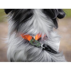 Non-stop dogwear Safe collar