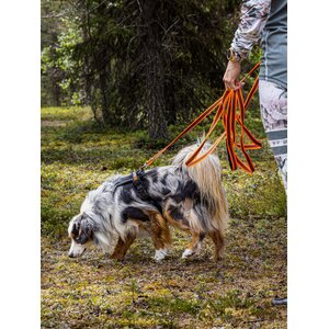 Nobby Grip-liina 17 mm x 5 m