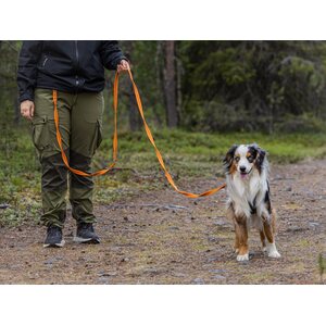 Nahka-Nasta 3-osainen Grip-talutin 15 mm x 3 m