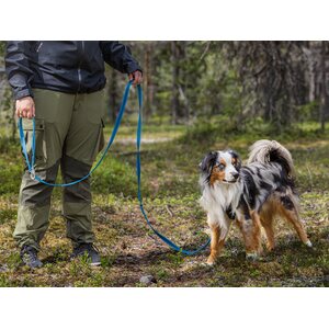 Nahka-Nasta 3-osainen Grip-talutin 15 mm x 3 m