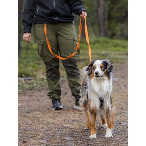 Nahka-Nasta 3-osainen Grip-talutin 20 mm x 3 m