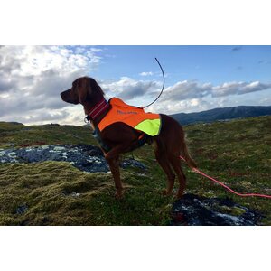 Non-stop dogwear Protector Vest GPS