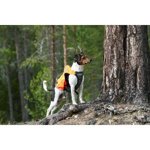 Non-stop dogwear Protector Vest GPS