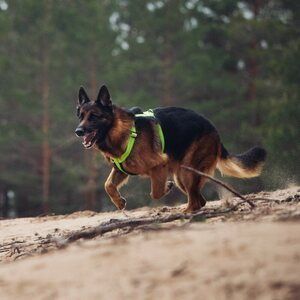 Rukka Form Neon valjaat keltainen