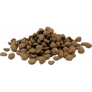Opti Life Cat Adult Sensitive Salmon kissan kuivaruoka 1 kg