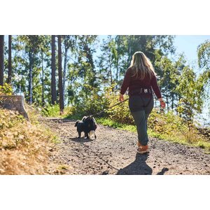 Non-stop dogwear Trekking belt 2.0 violetti